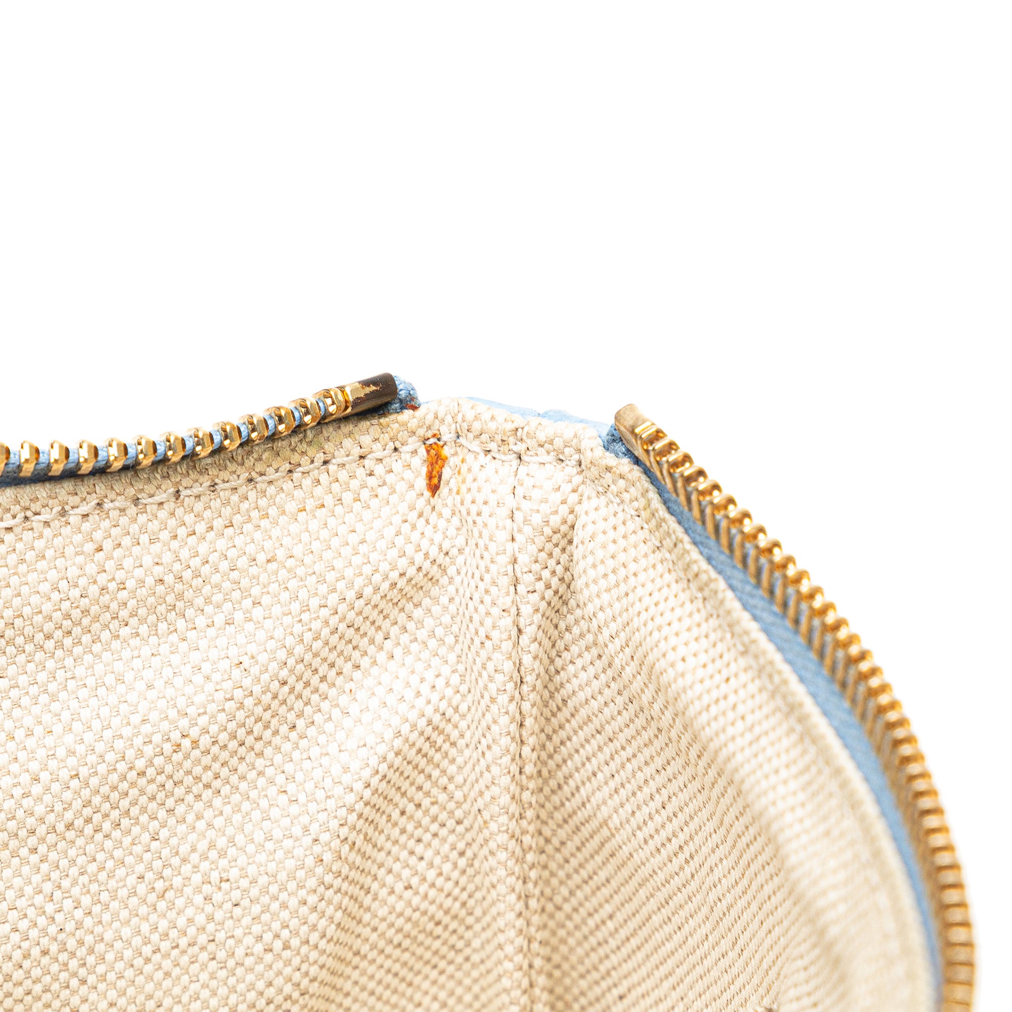 Large Dollar Calfskin Swing Pouch - Image 7