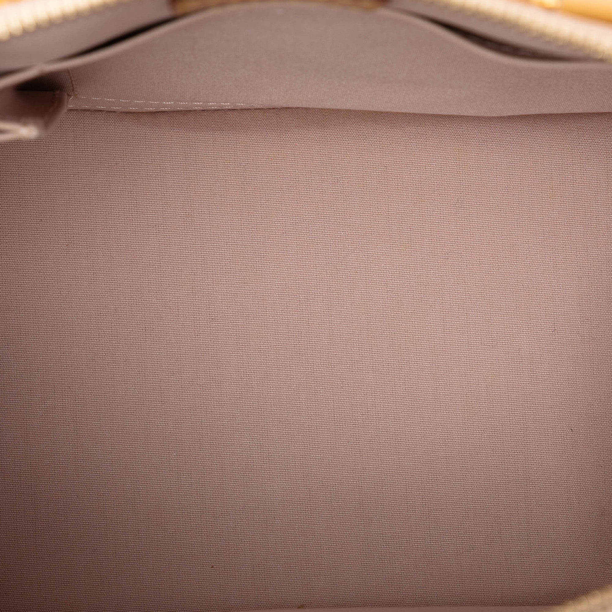 Monogram Vernis Alma PM - Image 4