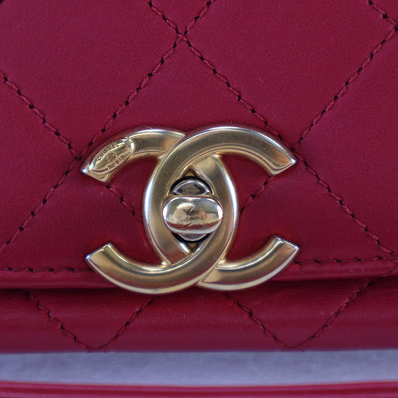 Medium Quilted Lambskin La Parisienne Flap - Image 9