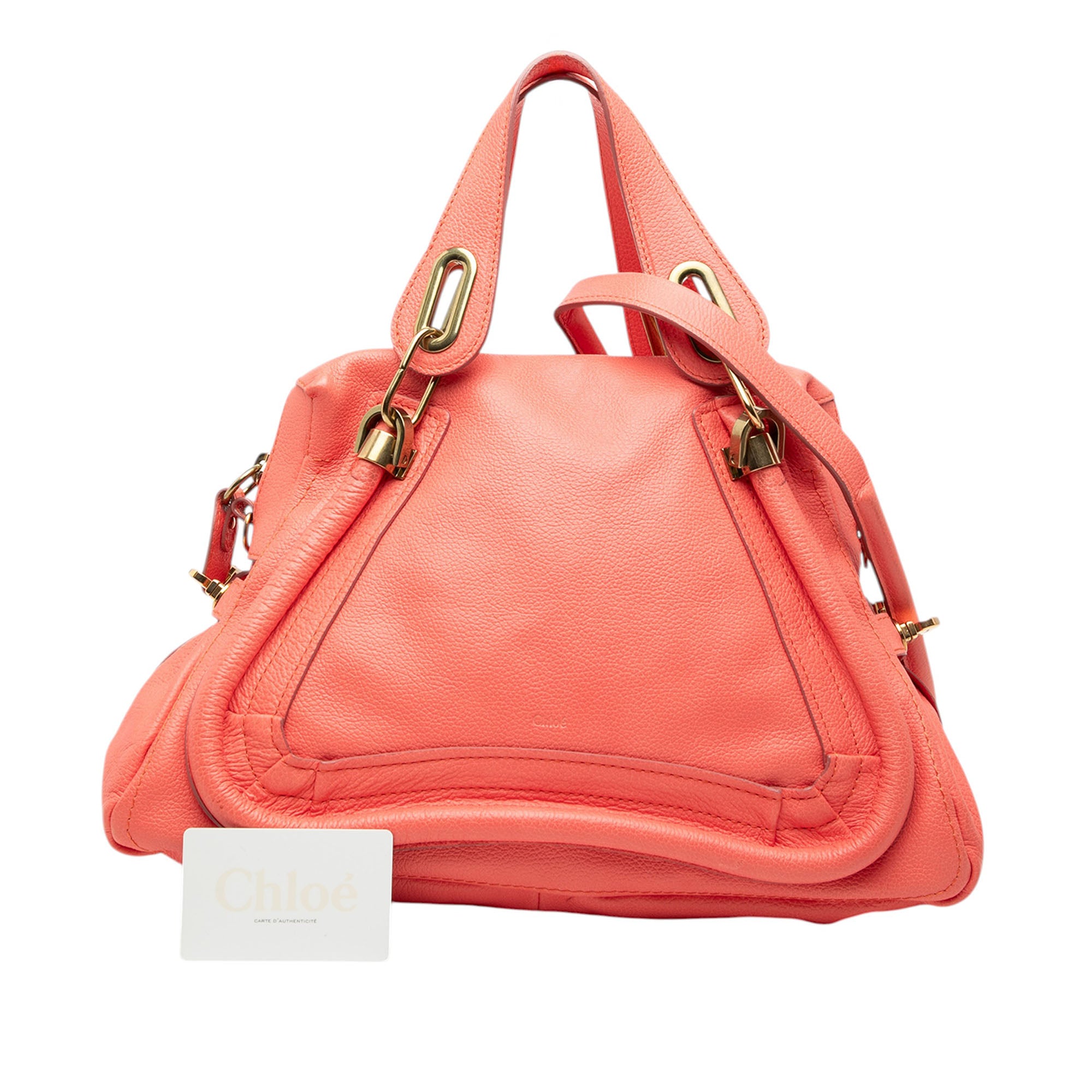 Medium Leather Paraty Satchel - Image 8