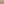         Calfskin Bamboo Clutch - Image 5