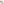         Calfskin Bamboo Clutch - Image 9