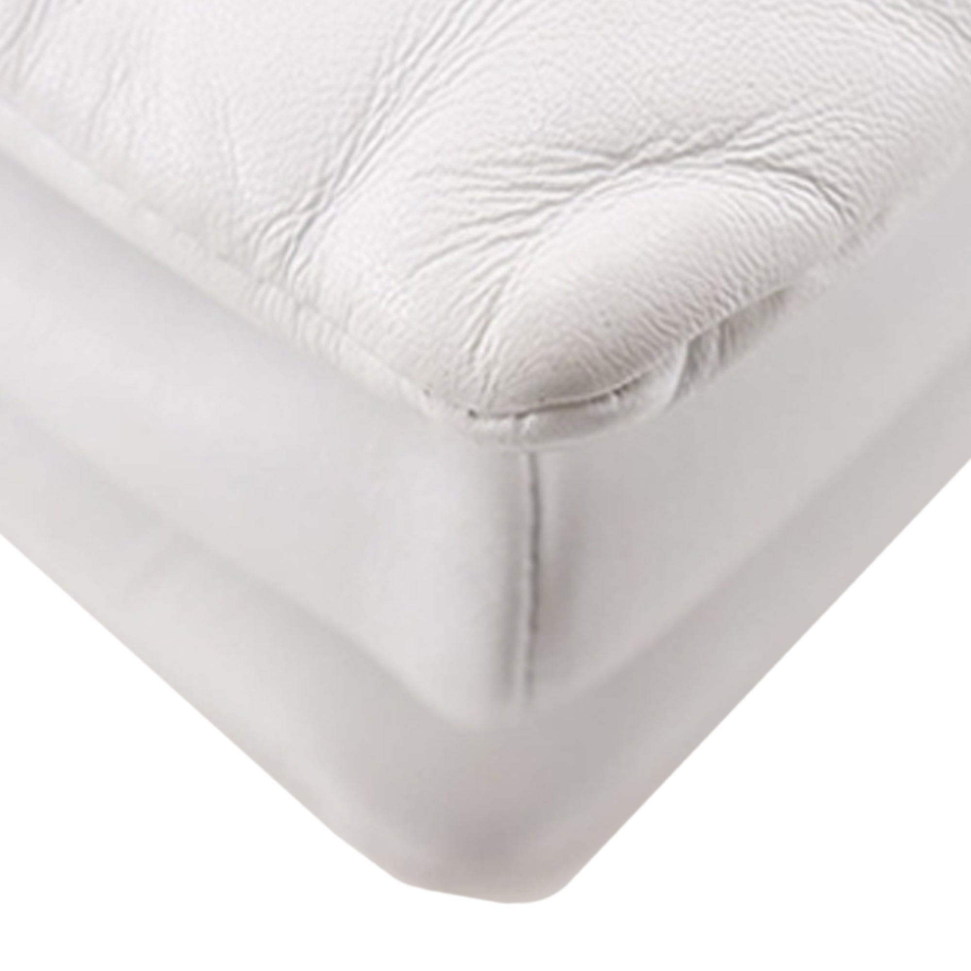 Tricolor Monogram Embossed Puffy Lambskin Coussin PM - Image 16