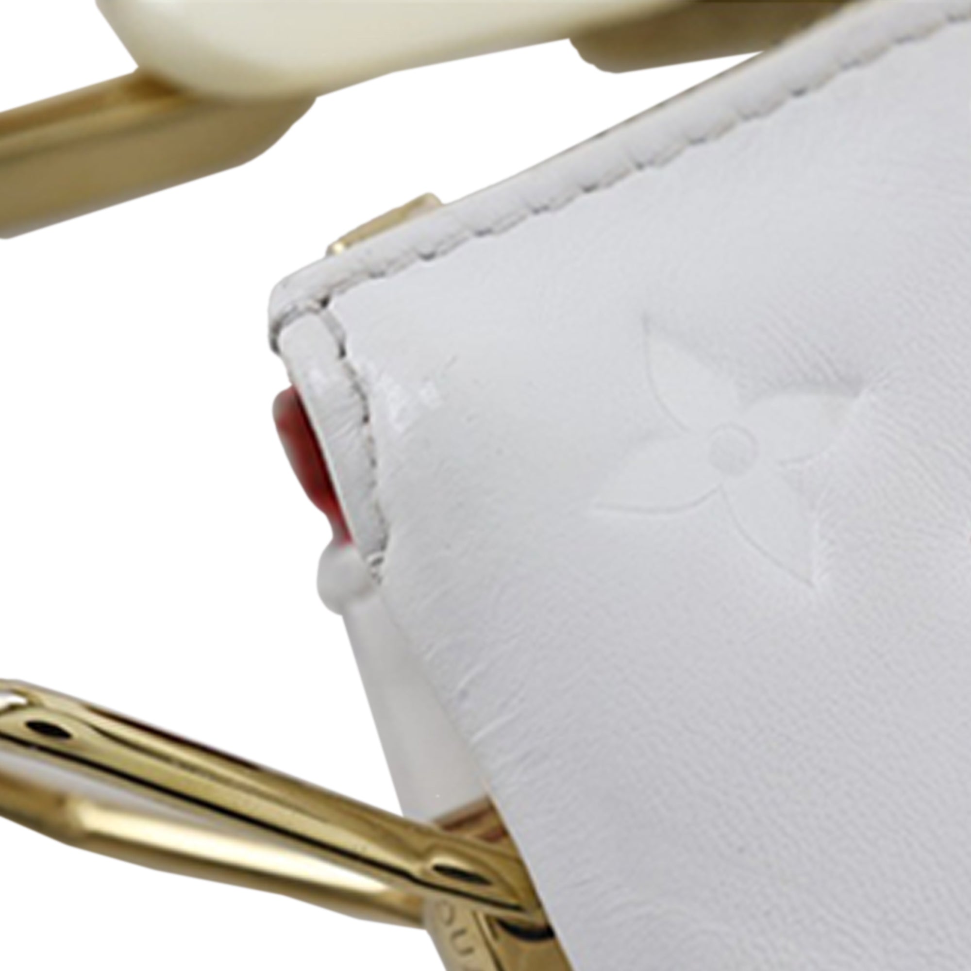 Tricolor Monogram Embossed Puffy Lambskin Coussin PM - Image 22