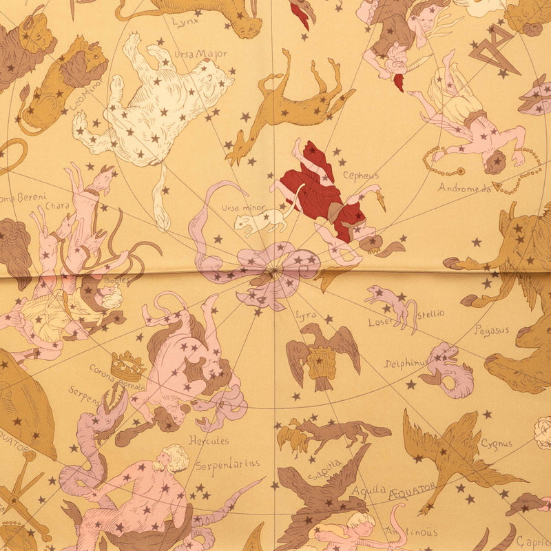Hemisphaerium Coeli Boreale Silk Scarf 90 - Image 2