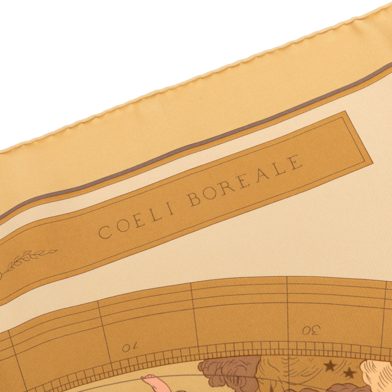 Hemisphaerium Coeli Boreale Silk Scarf 90 - Image 7