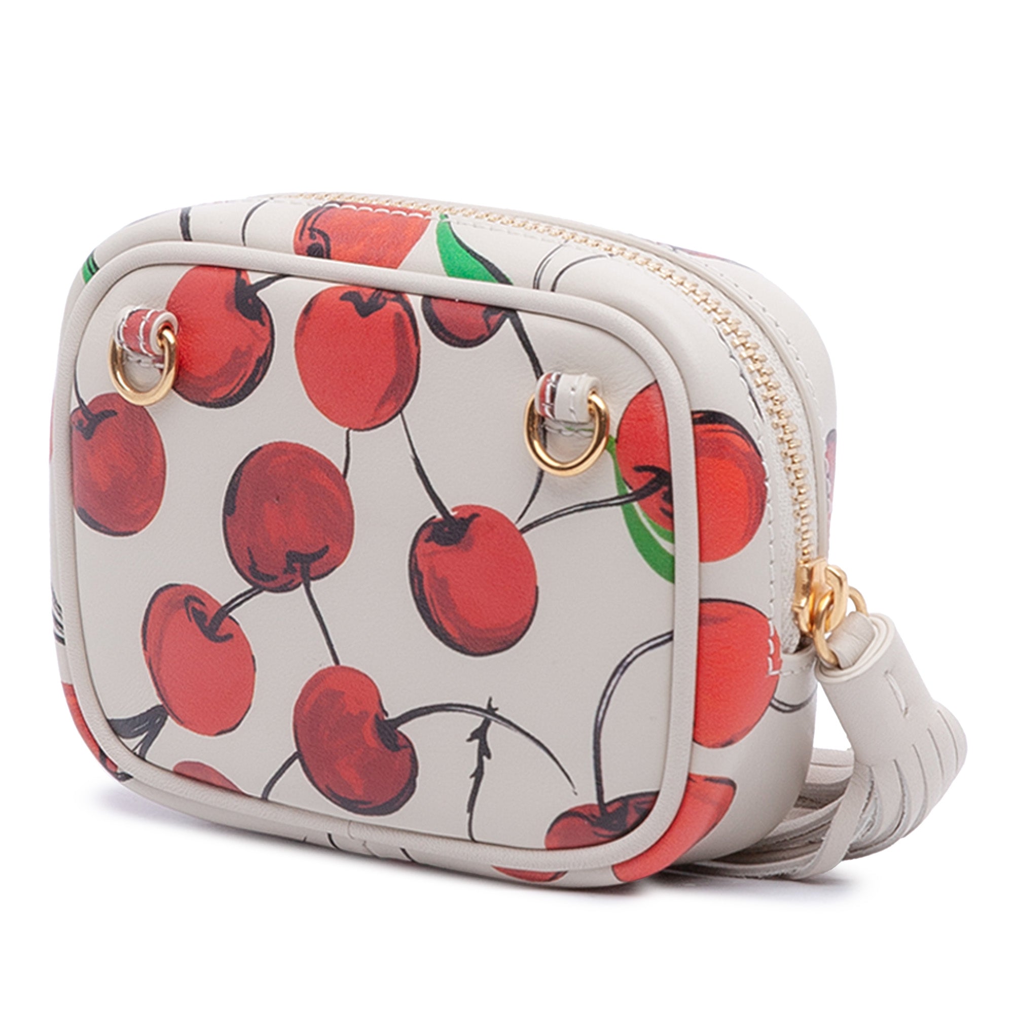 Baby Calfskin Monogram Cherry Printed Lou Camera Bag - Image 2