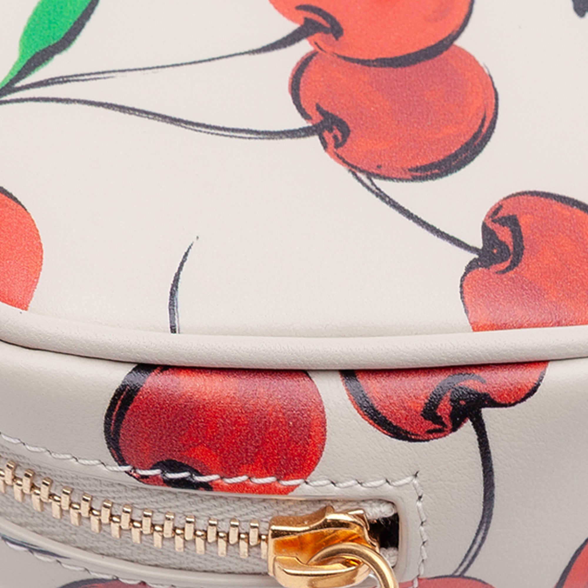 Baby Calfskin Monogram Cherry Printed Lou Camera Bag - Image 8