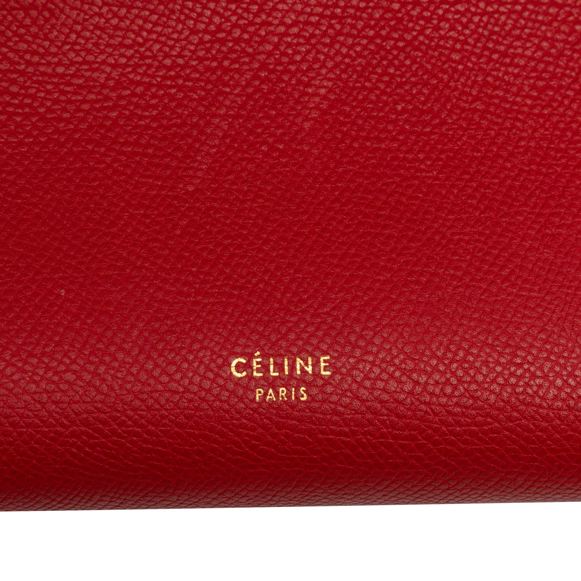 Micro Grained Calfskin Belt Bag - Image 5