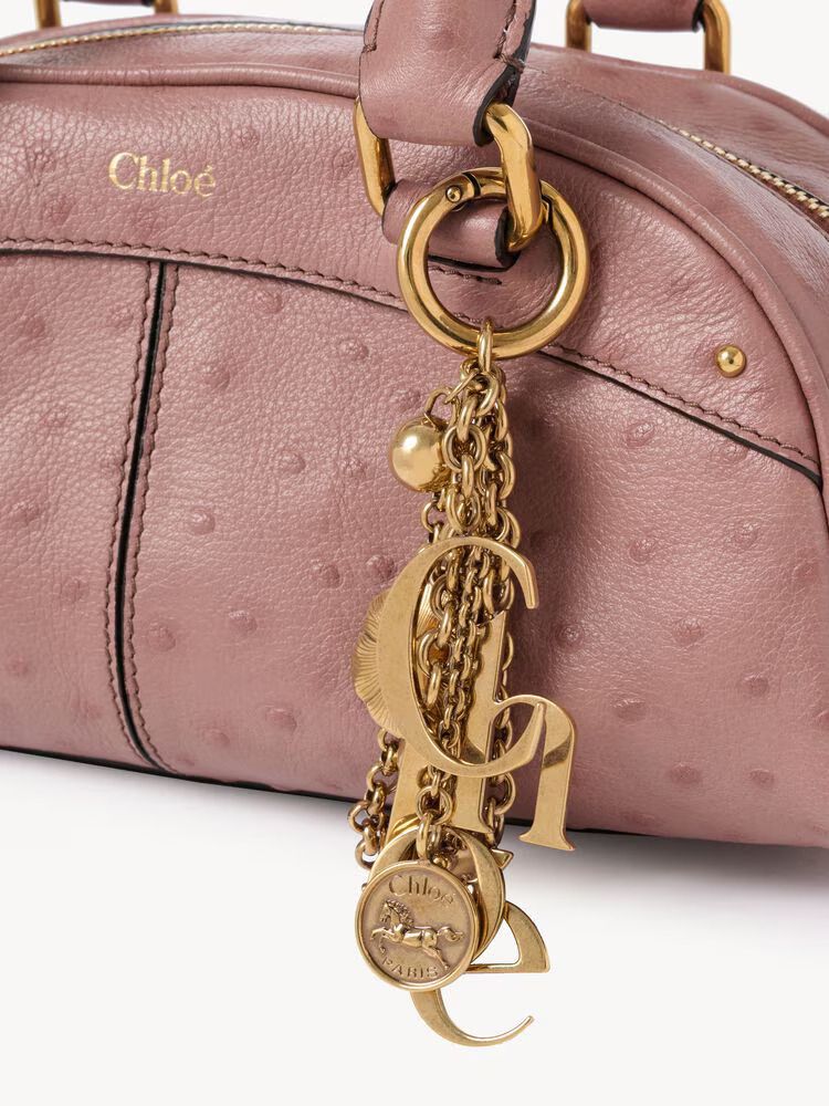 Chloé Gold-Hardware Leather Shoulder Bag — Rose