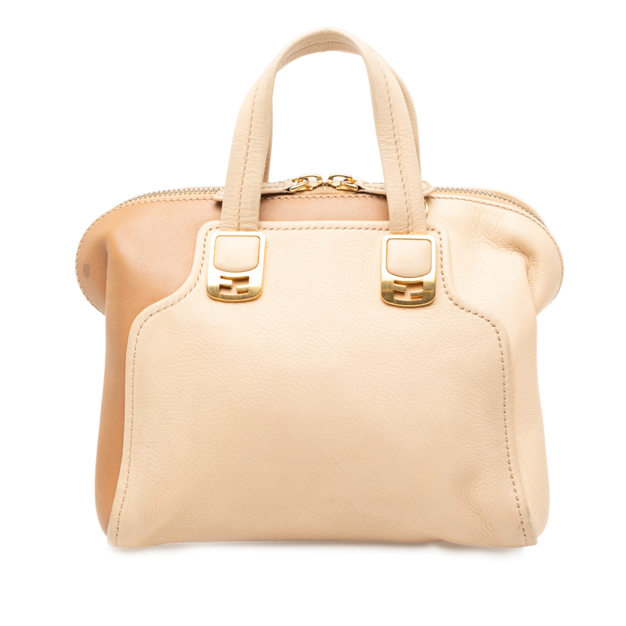 Small Tricolor Leather Chameleon Satchel - Image 1