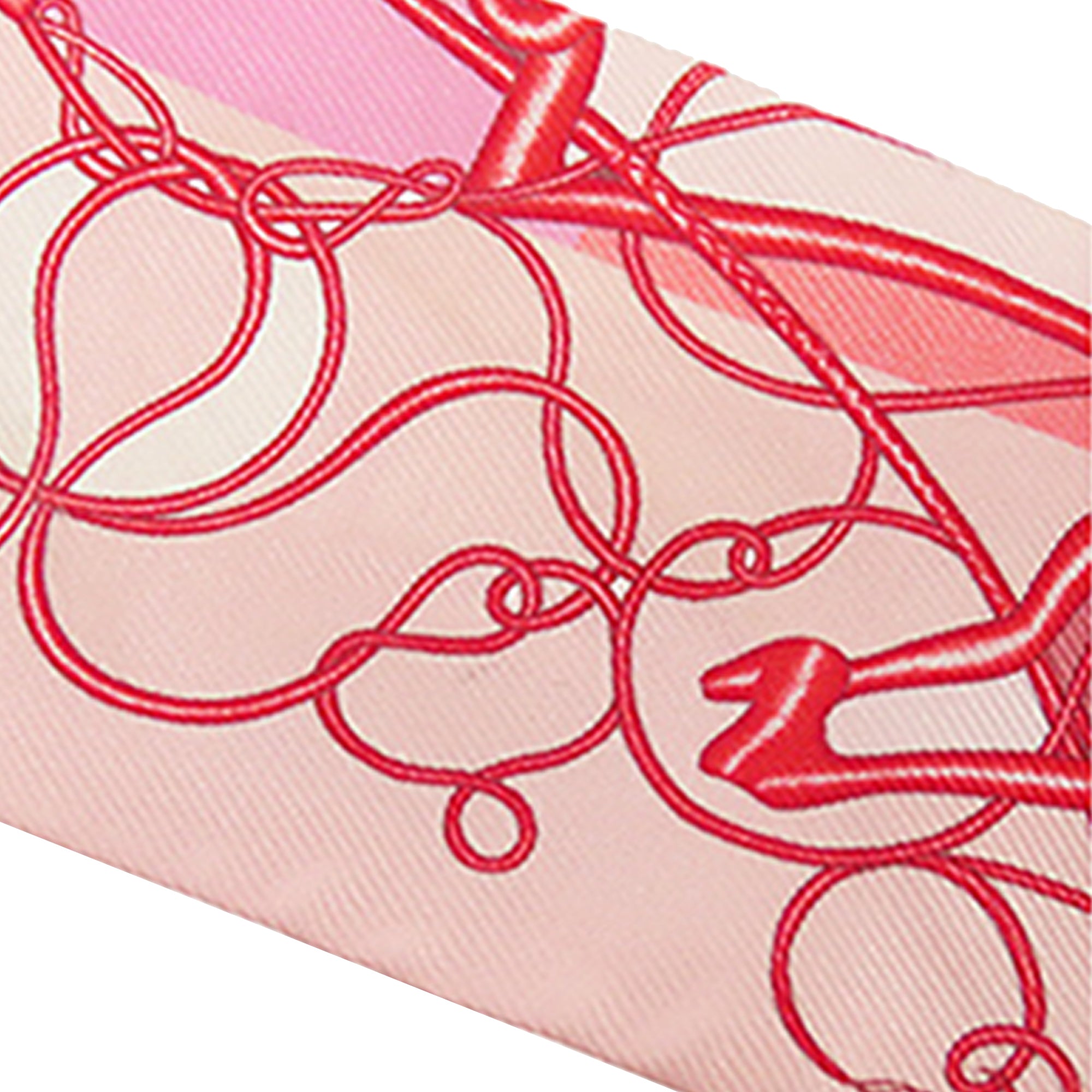 Coup de Fouet Au Bloc Silk Twilly Scarf - Image 6