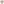         Anagram Coated Canvas Crossbody - Image 1