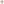         Anagram Coated Canvas Crossbody - Image 2