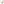         GG Canvas Web Crossbody - Image 2