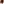         Clemence Evelyne 33 - Image 4