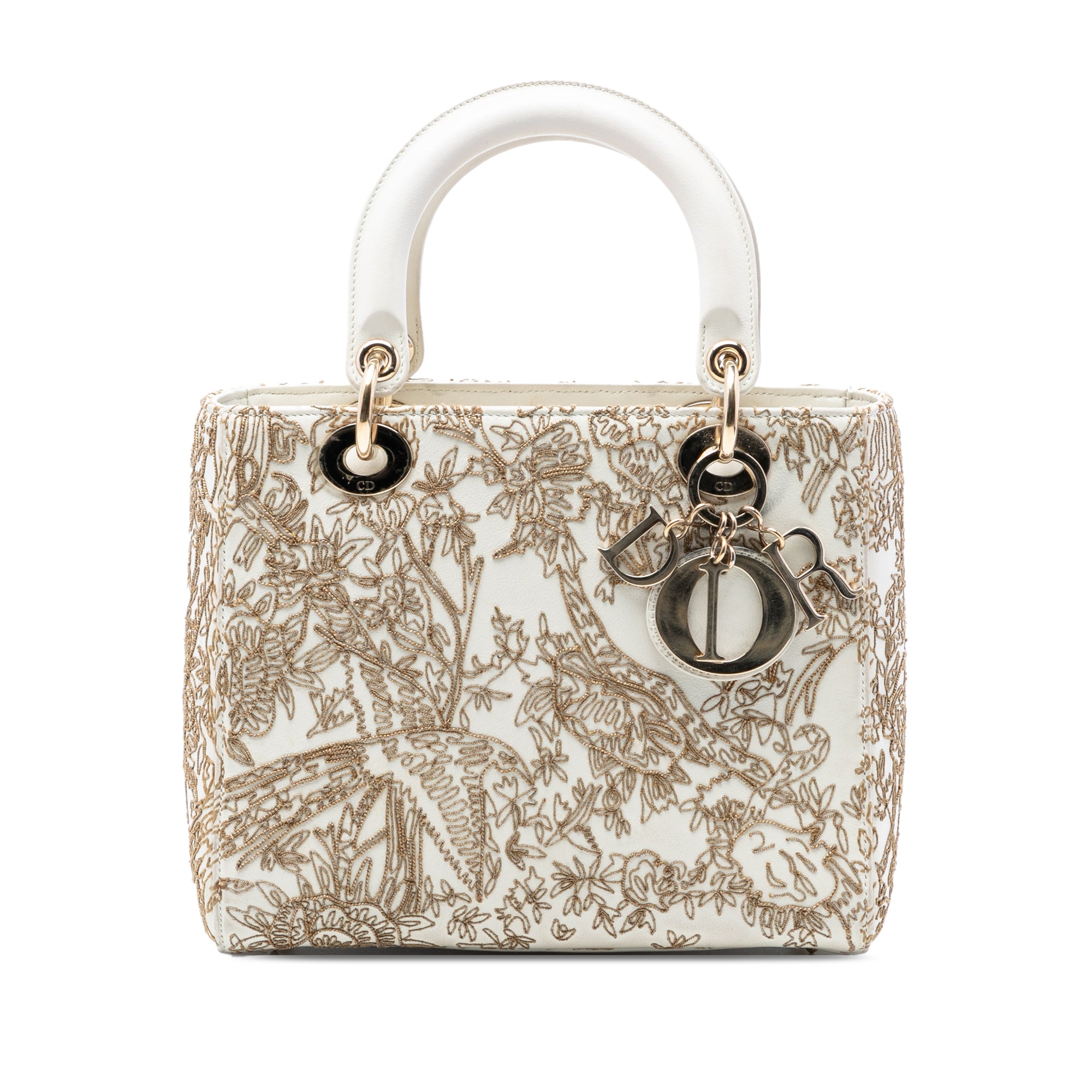 Medium Calfskin Embroidered Jardin D Hiver Lady Dior - Image 1