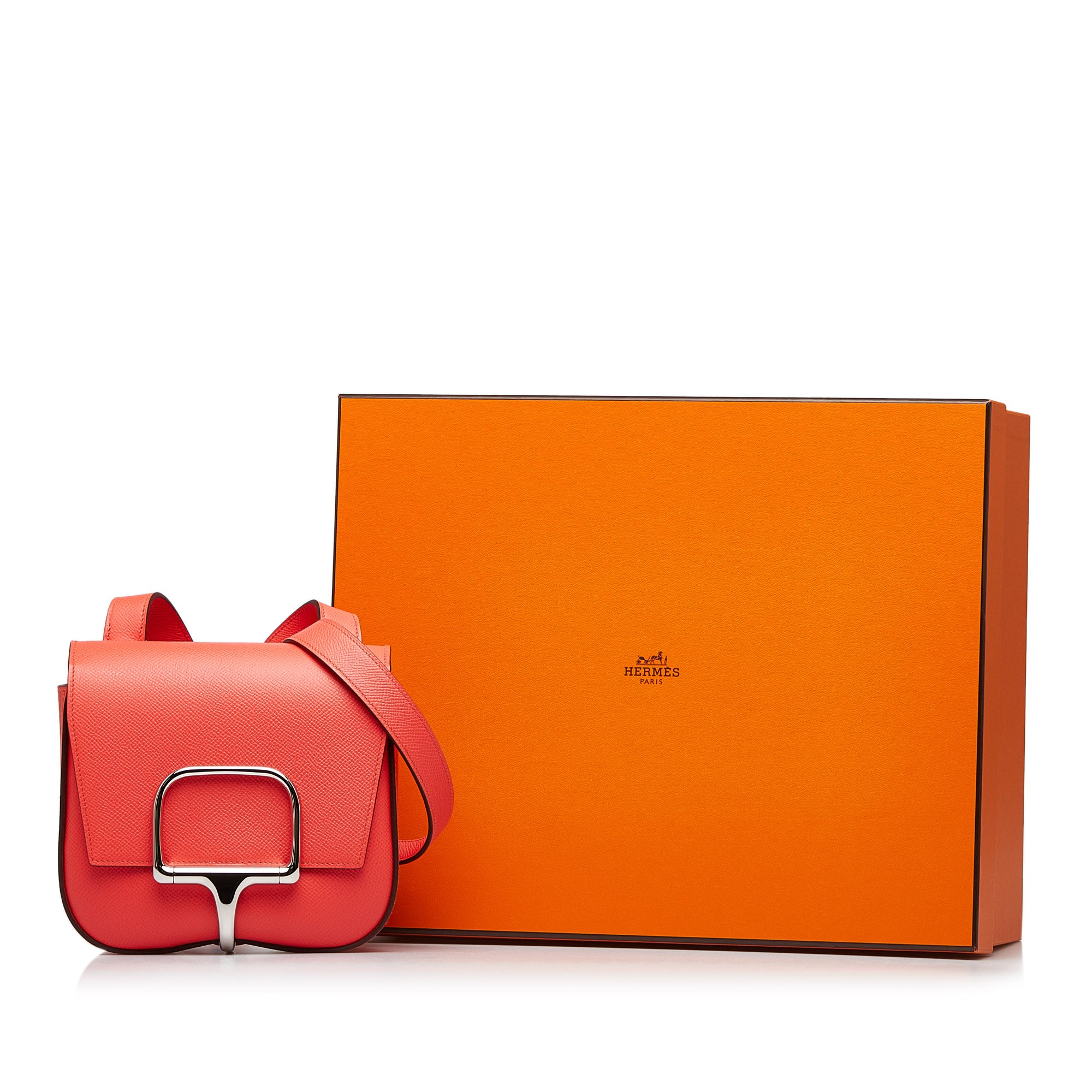 Mini Epsom Della Cavalleria - Image 10