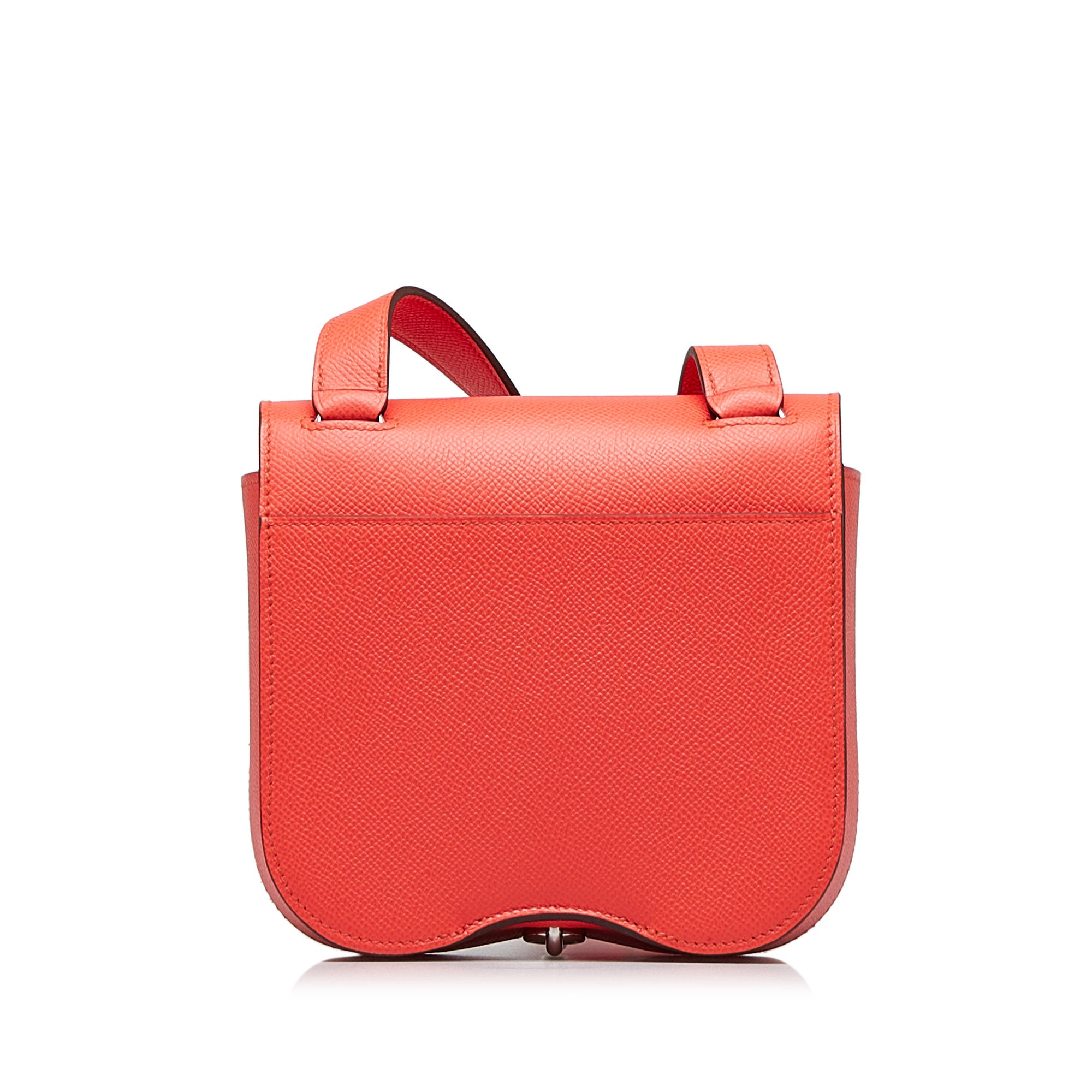 Mini Epsom Della Cavalleria - Image 3