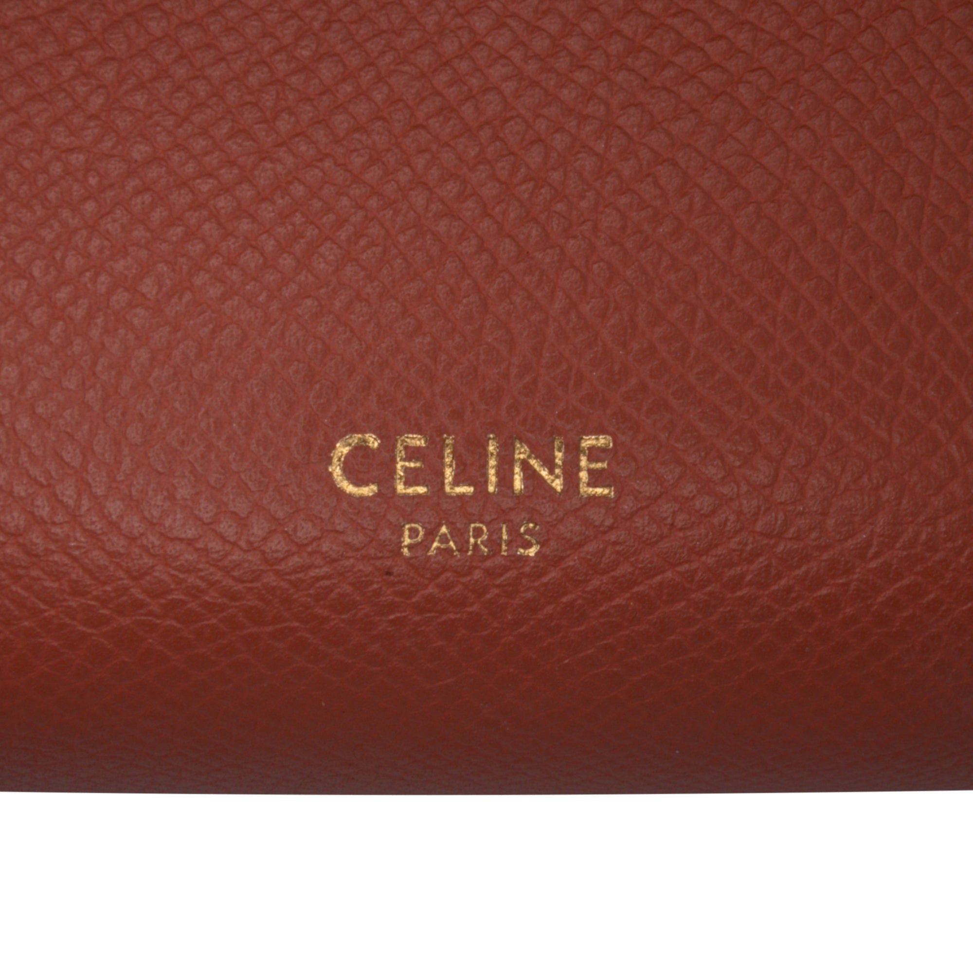 Pico Grained Calfskin Belt Bag - Image 5