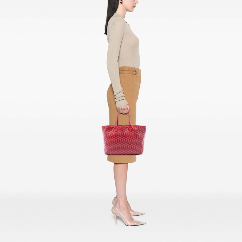 Goyardine Saint Louis PM - Image 6