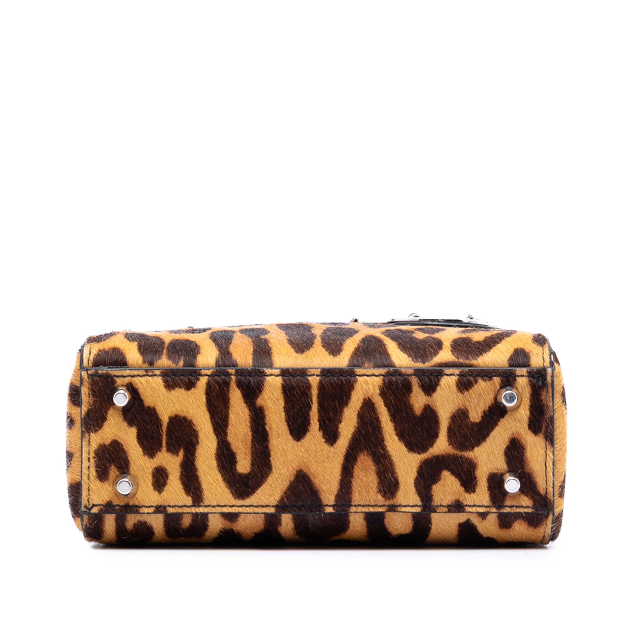 Mini Pony Hair Leopard Print Lady Dior - Image 3