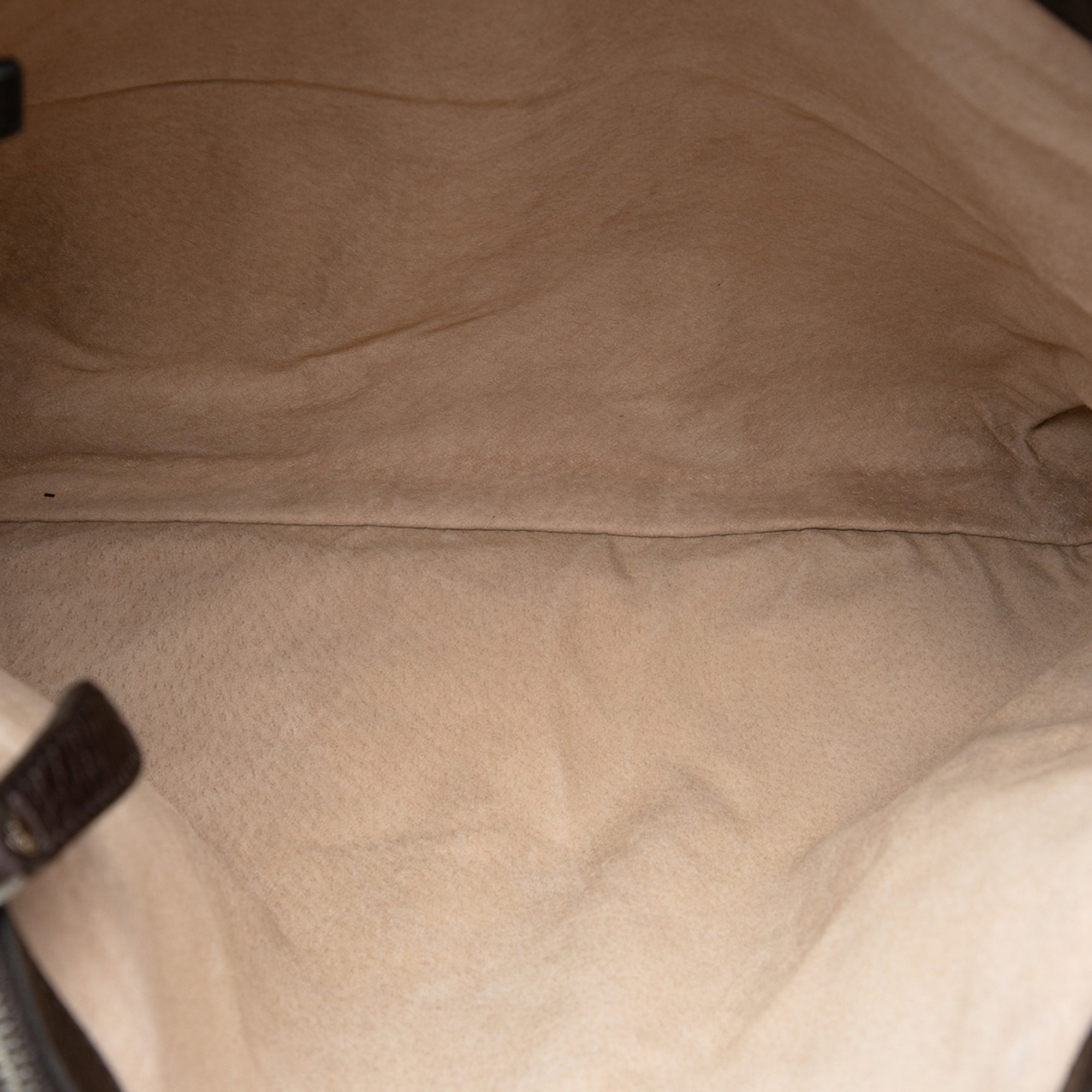 Grained Calfskin Tote - Image 4