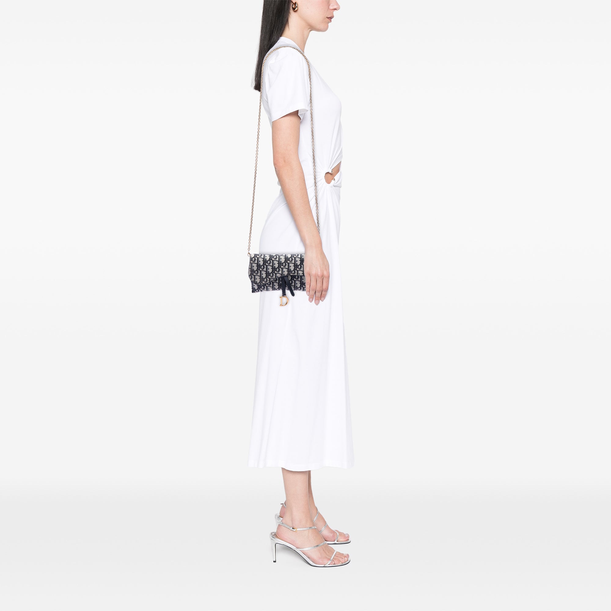 Oblique Canvas Saddle Wallet On Chain - Image 6