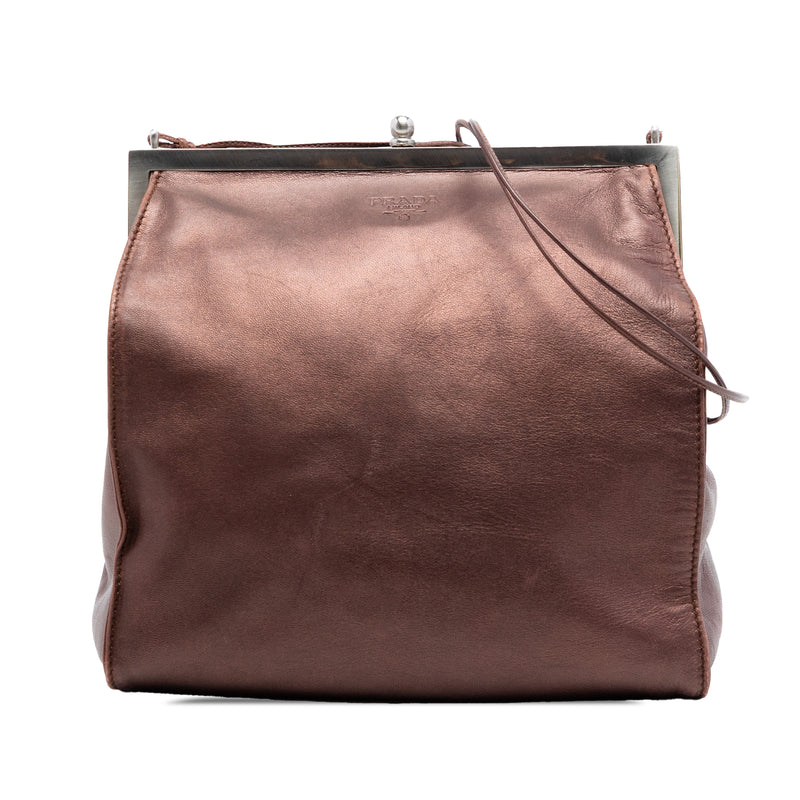 Metallic Nappa Frame Crossbody