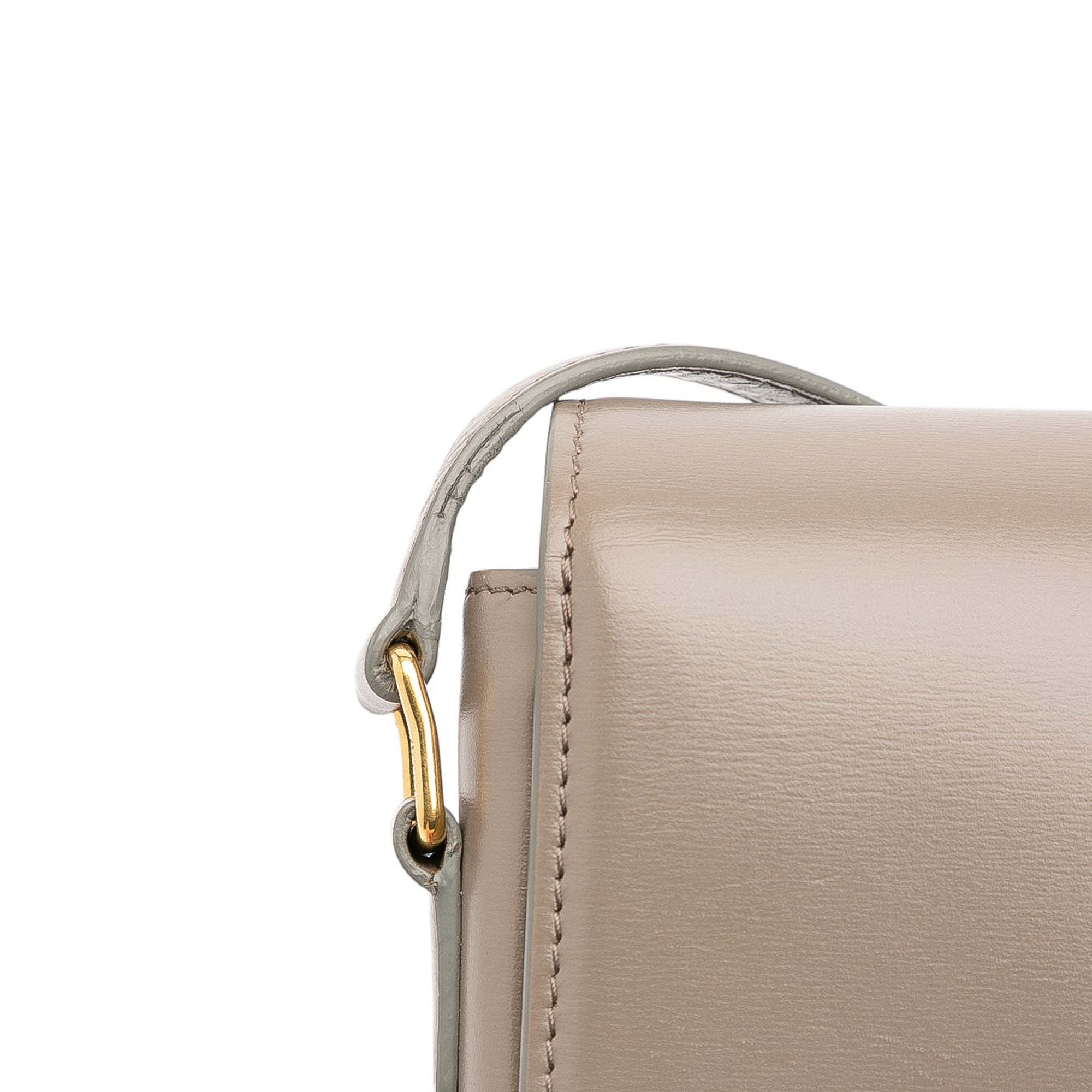 Teen Shiny Calfskin Triomphe Crossbody - Image 10