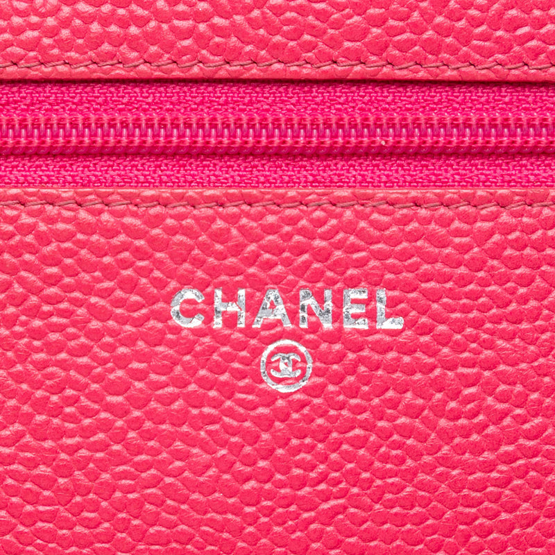 Caviar Bicolor CC Wallet On Chain - Image 5