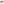         Medium Smooth Calfskin Classic Monogram Kate Tassel Crossbody - Image 8