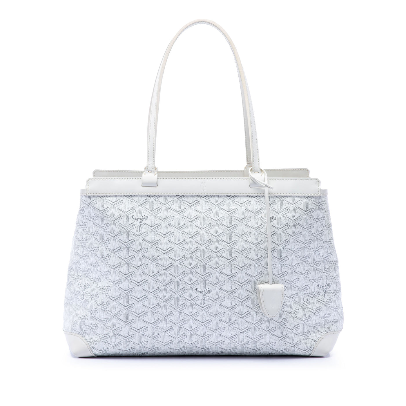 Goyardine Bellechasse PM - Image 1