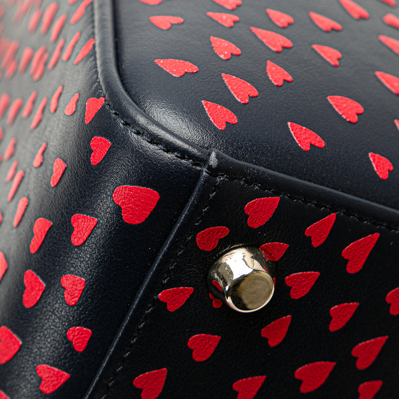 Medium Calfskin I Love Paris Lady Dior - Image 8