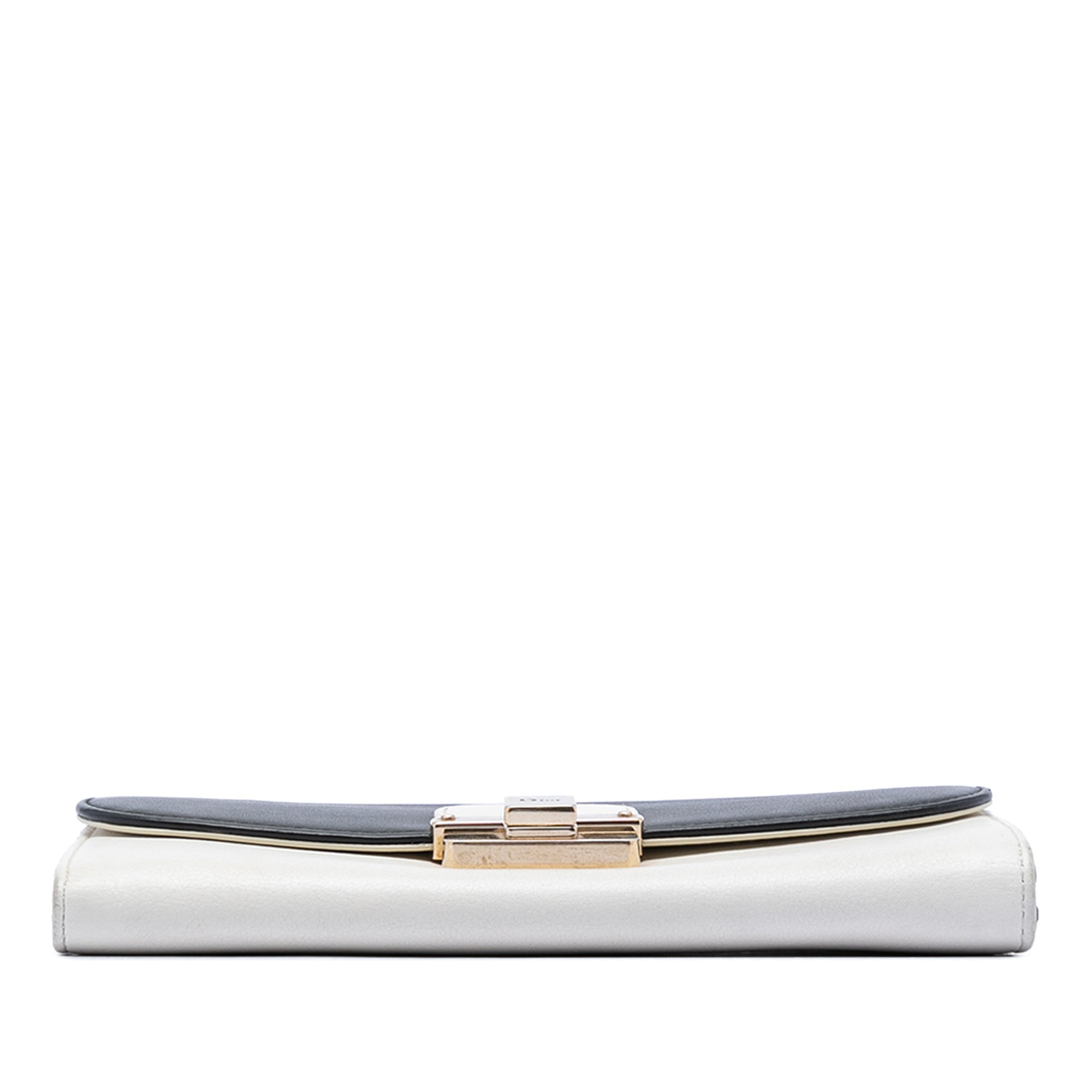 Bicolor Calfskin Diorling Wallet on Chain - Image 3