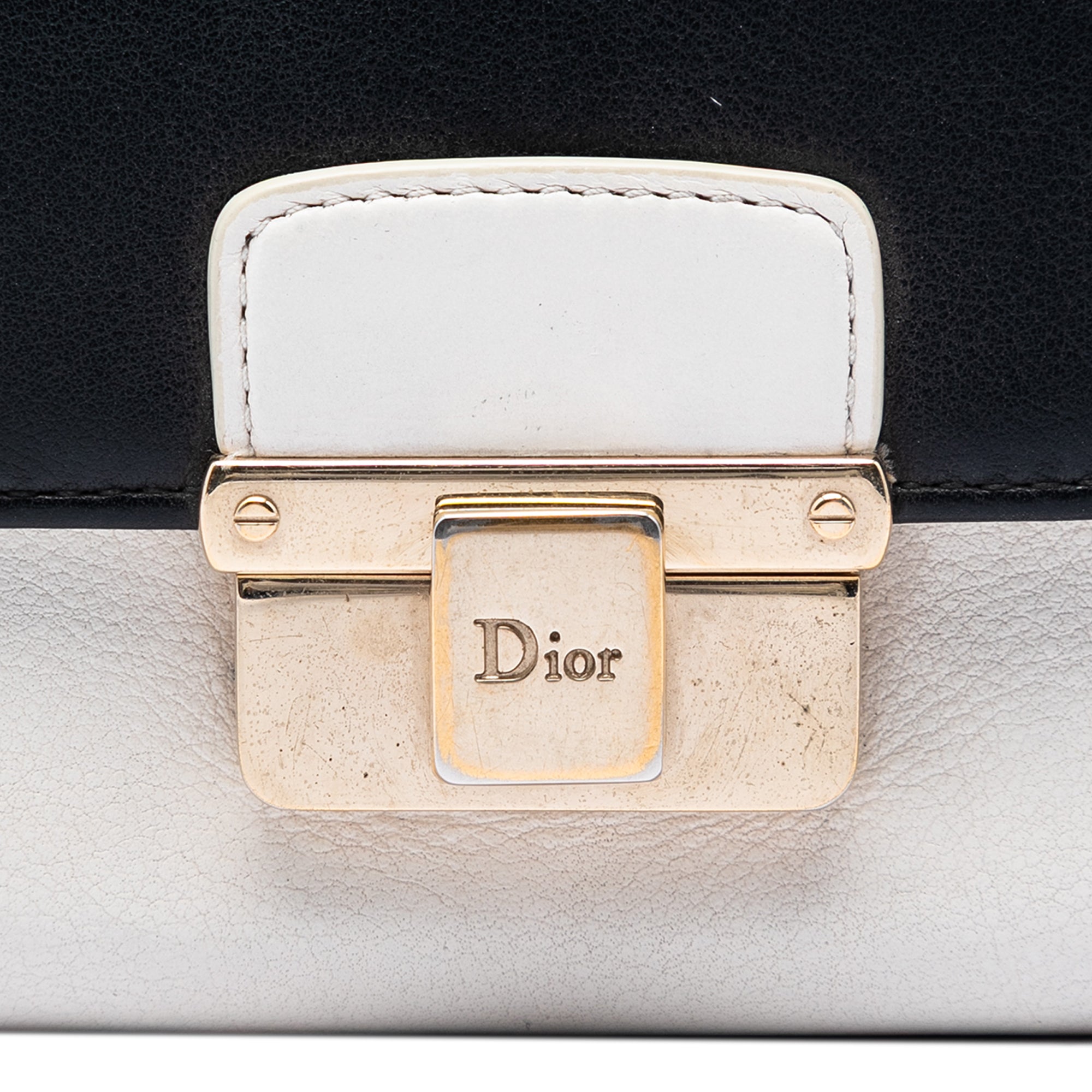 Bicolor Calfskin Diorling Wallet on Chain - Image 5
