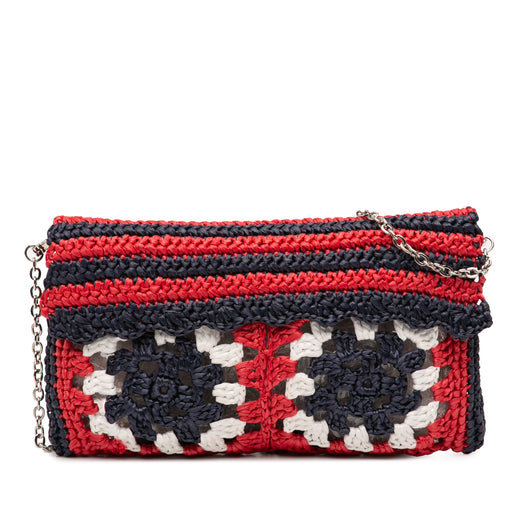Multicolor Raffia Crochet Wallet on Chain - Image 1