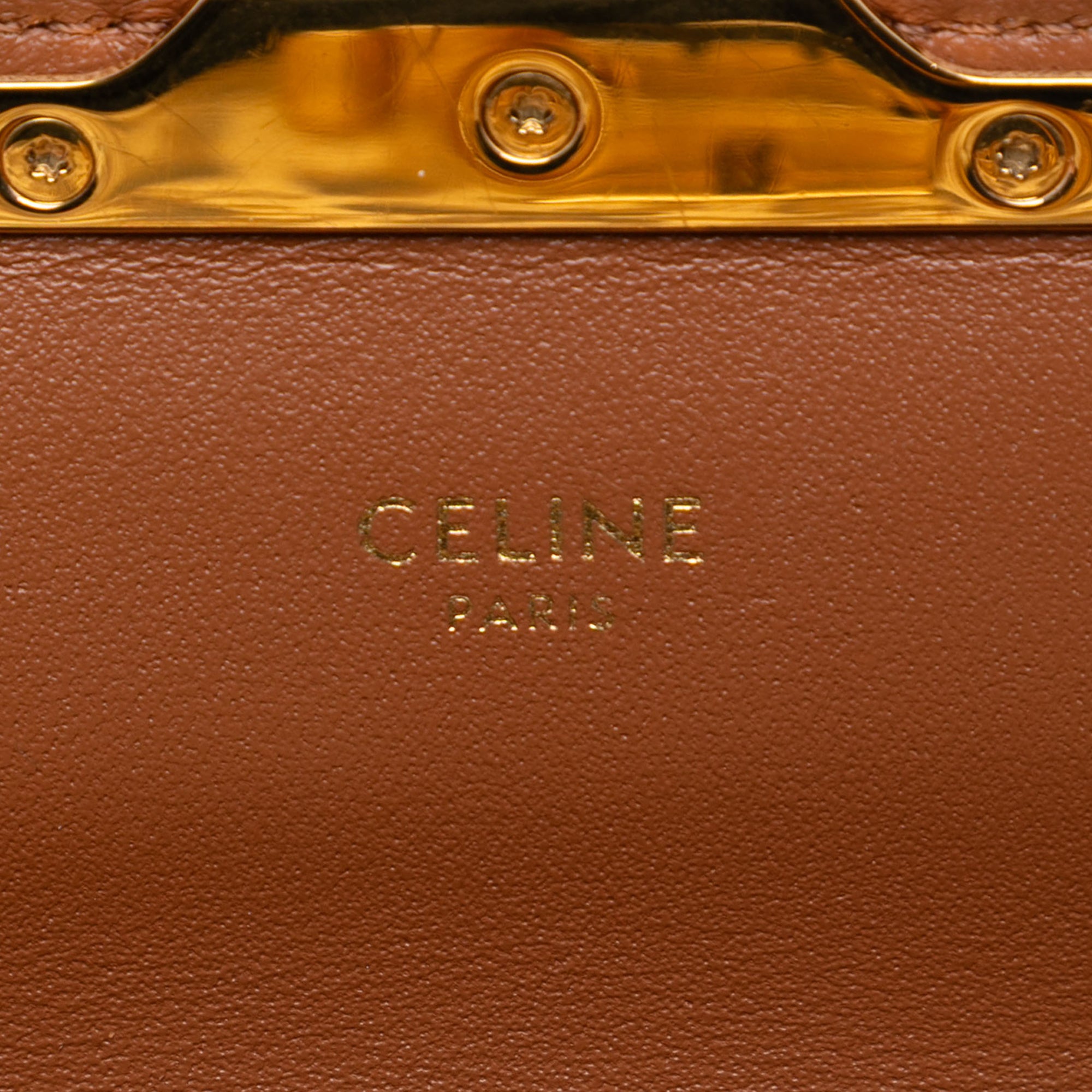 Calfskin Leopard Print Claude Chain Shoulder Bag - Image 5