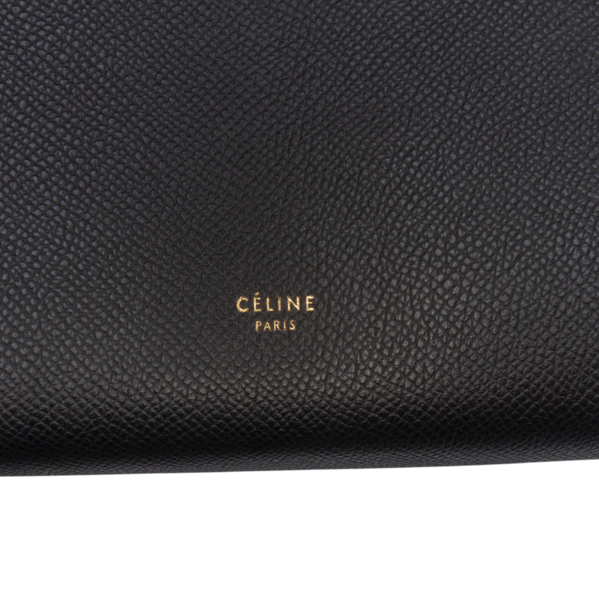 Mini Grained Calfskin Belt Satchel - Image 5
