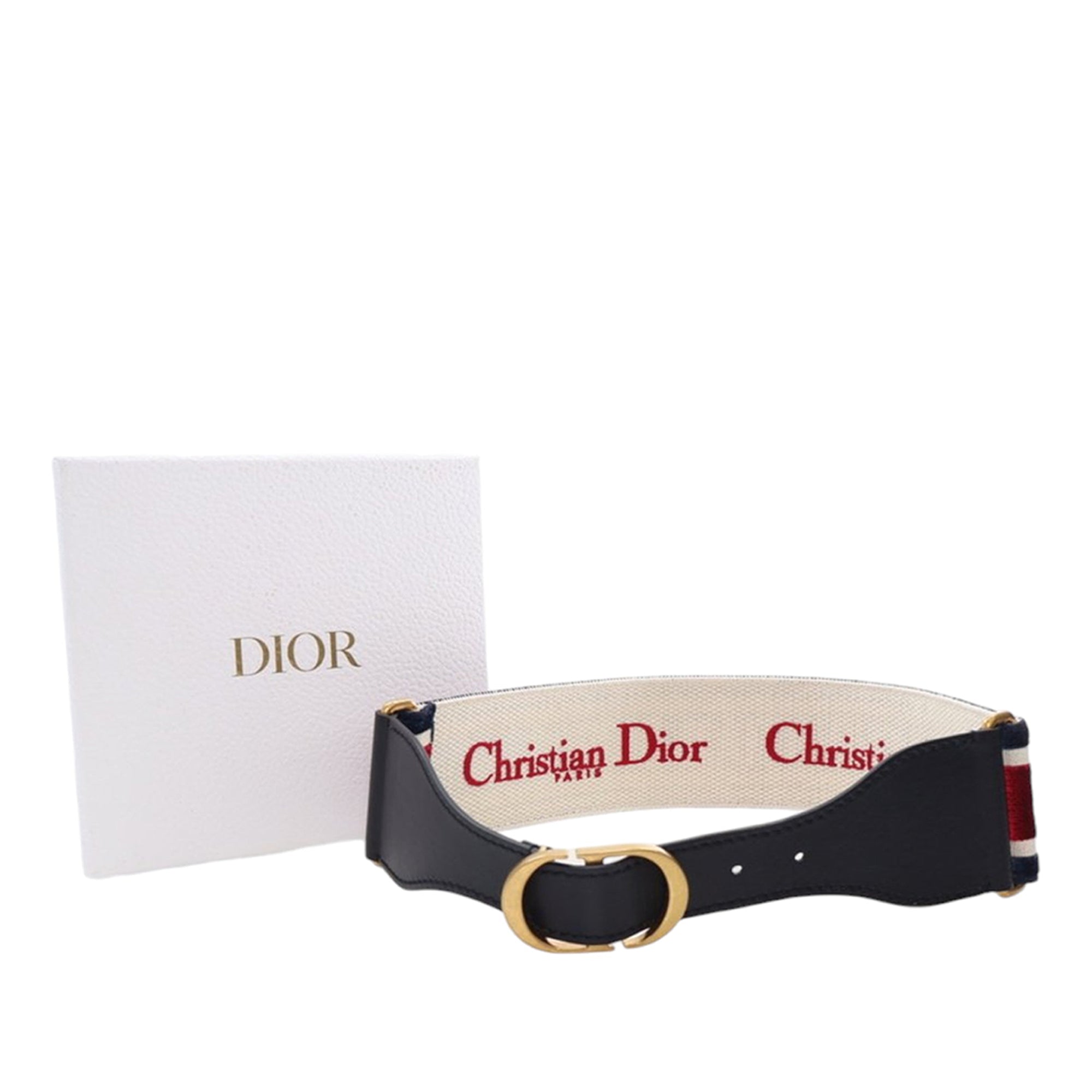 Leather and Embroidered Canvas Wide Belt - Image 10