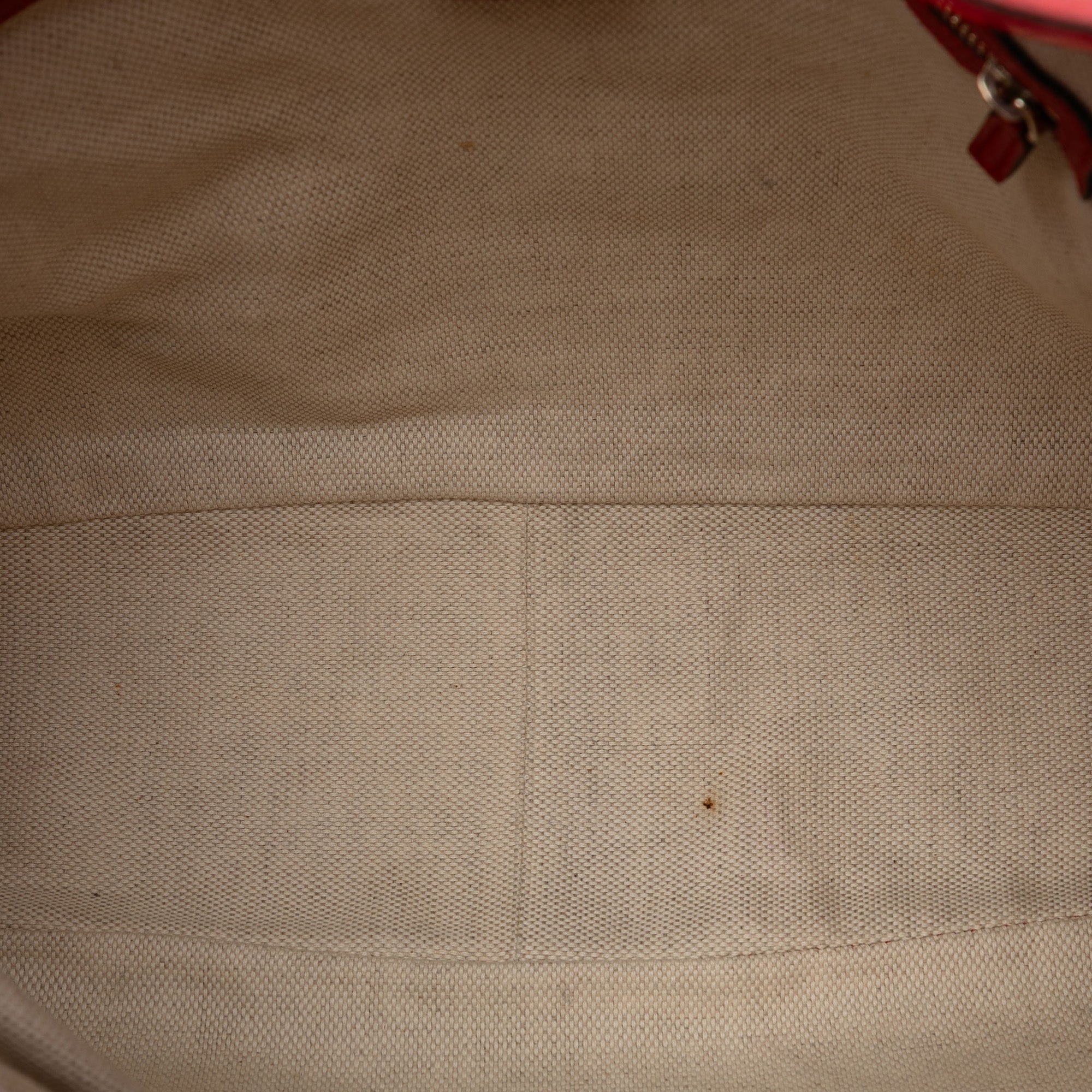 GG Canvas Bamboo Diana Satchel - Image 4