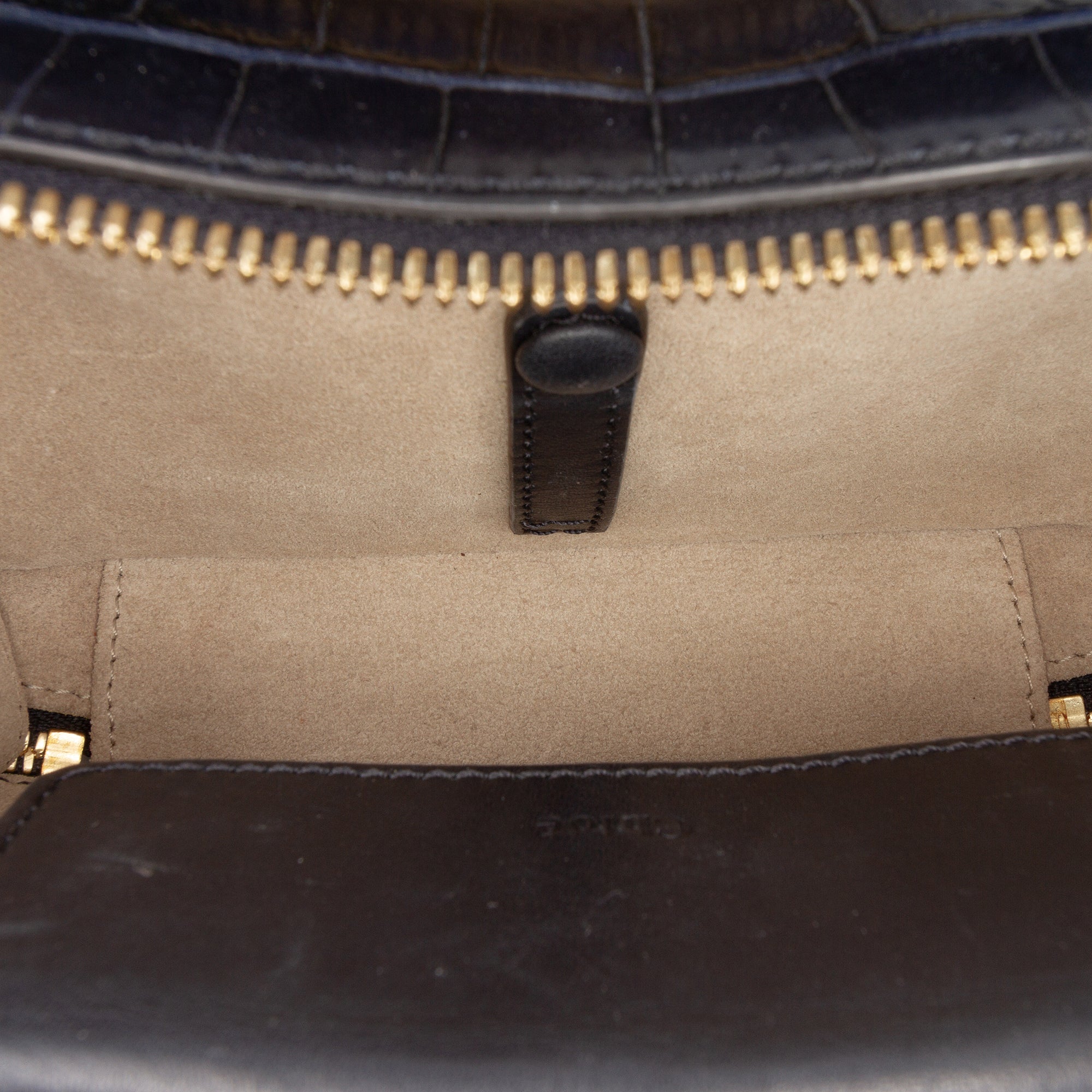 Mini Croc Embossed Leather C Vanity Bag - Image 4