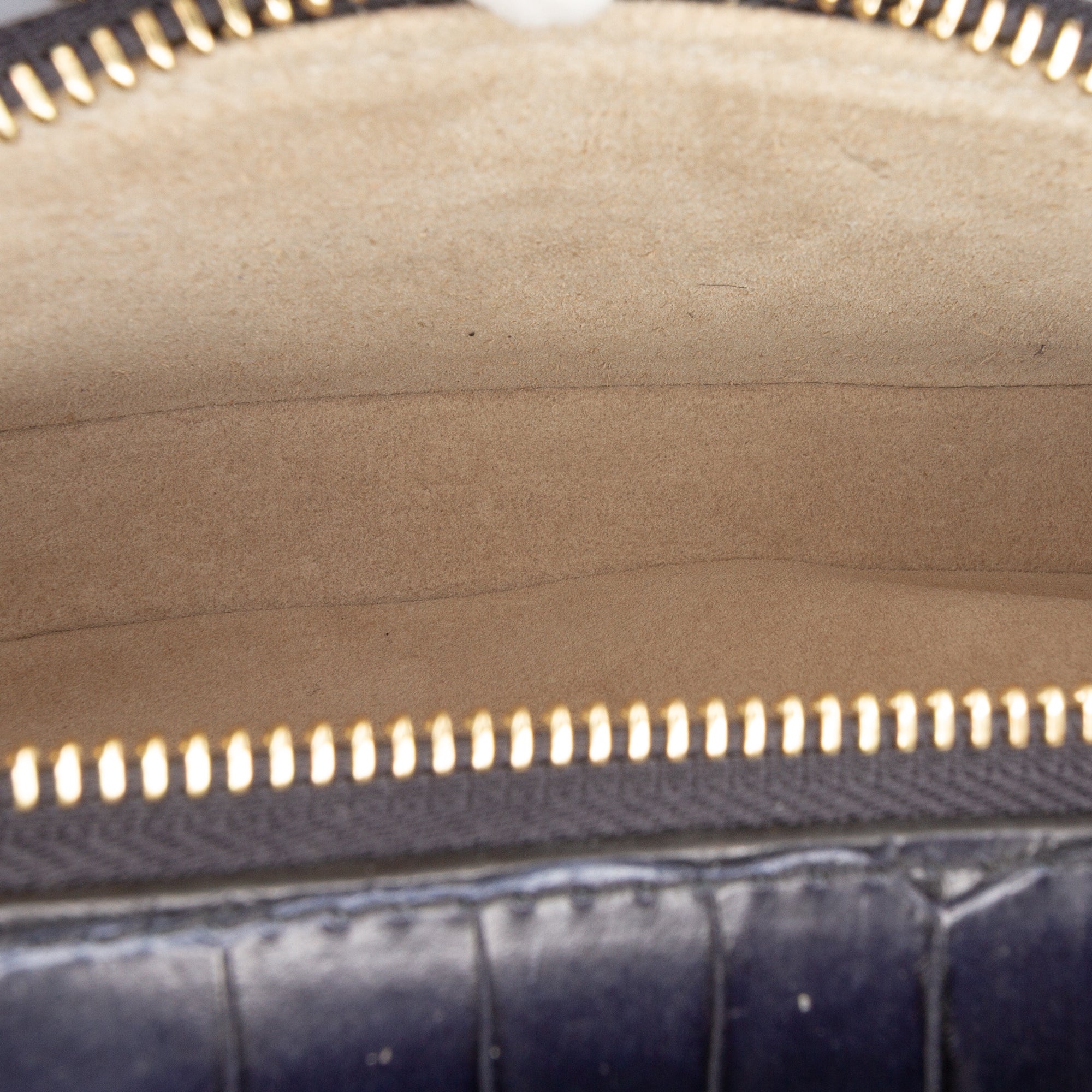 Mini Croc Embossed Leather C Vanity Bag - Image 5