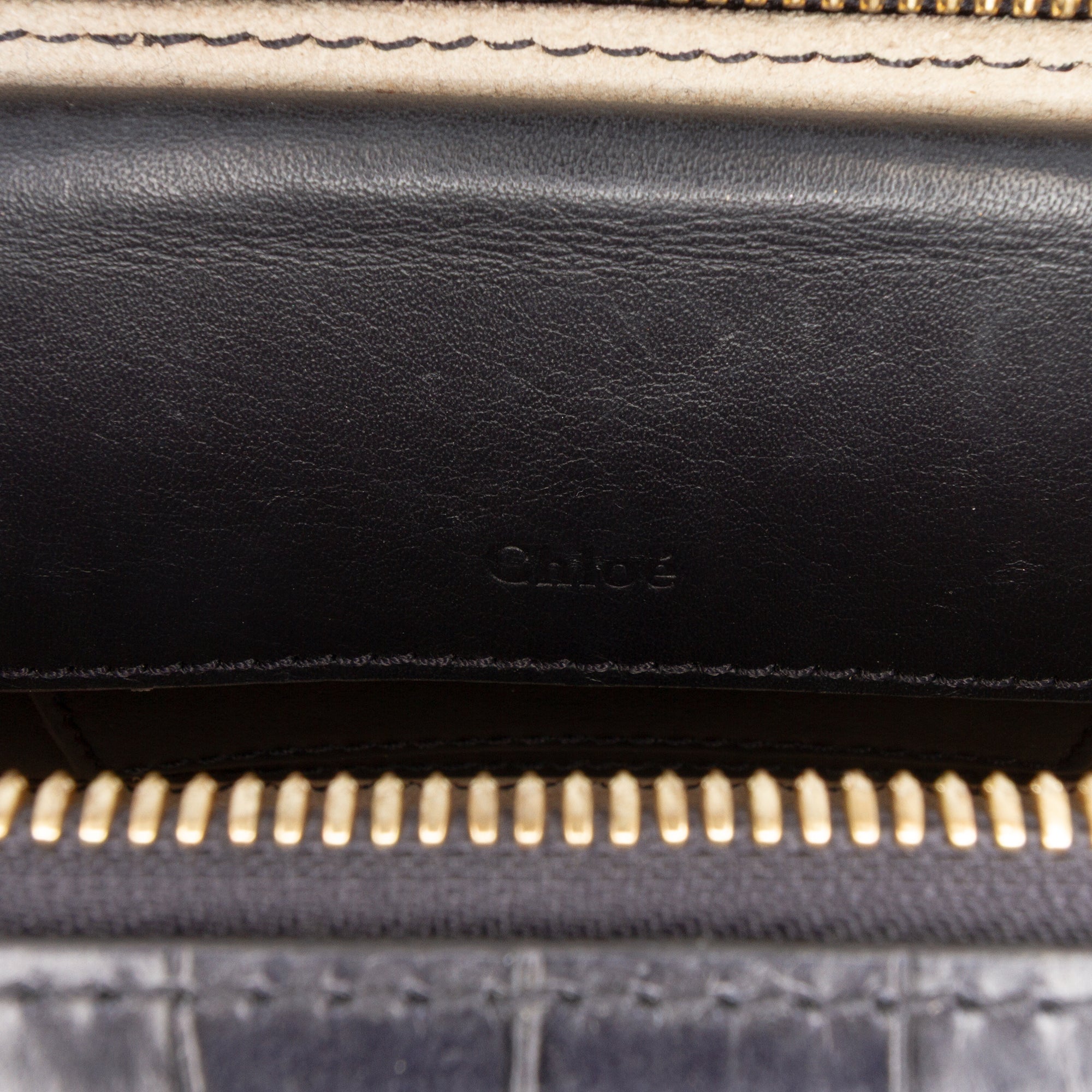 Mini Croc Embossed Leather C Vanity Bag - Image 6