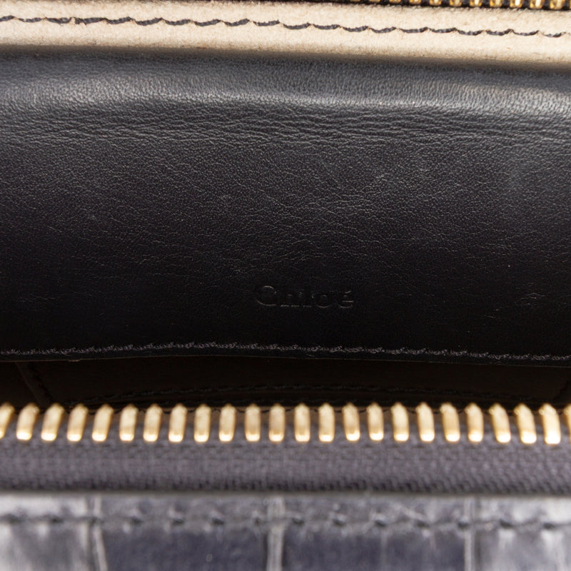 Mini Croc Embossed Leather C Vanity Bag - Image 6