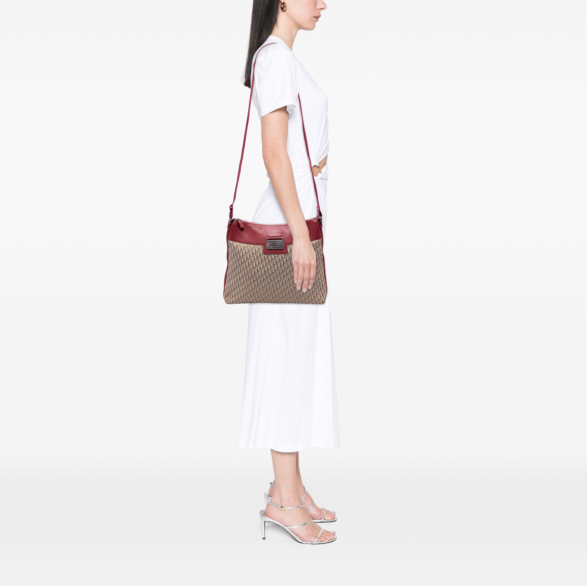 Diorissimo Trotter Canvas Street Chic Crossbody - Image 5