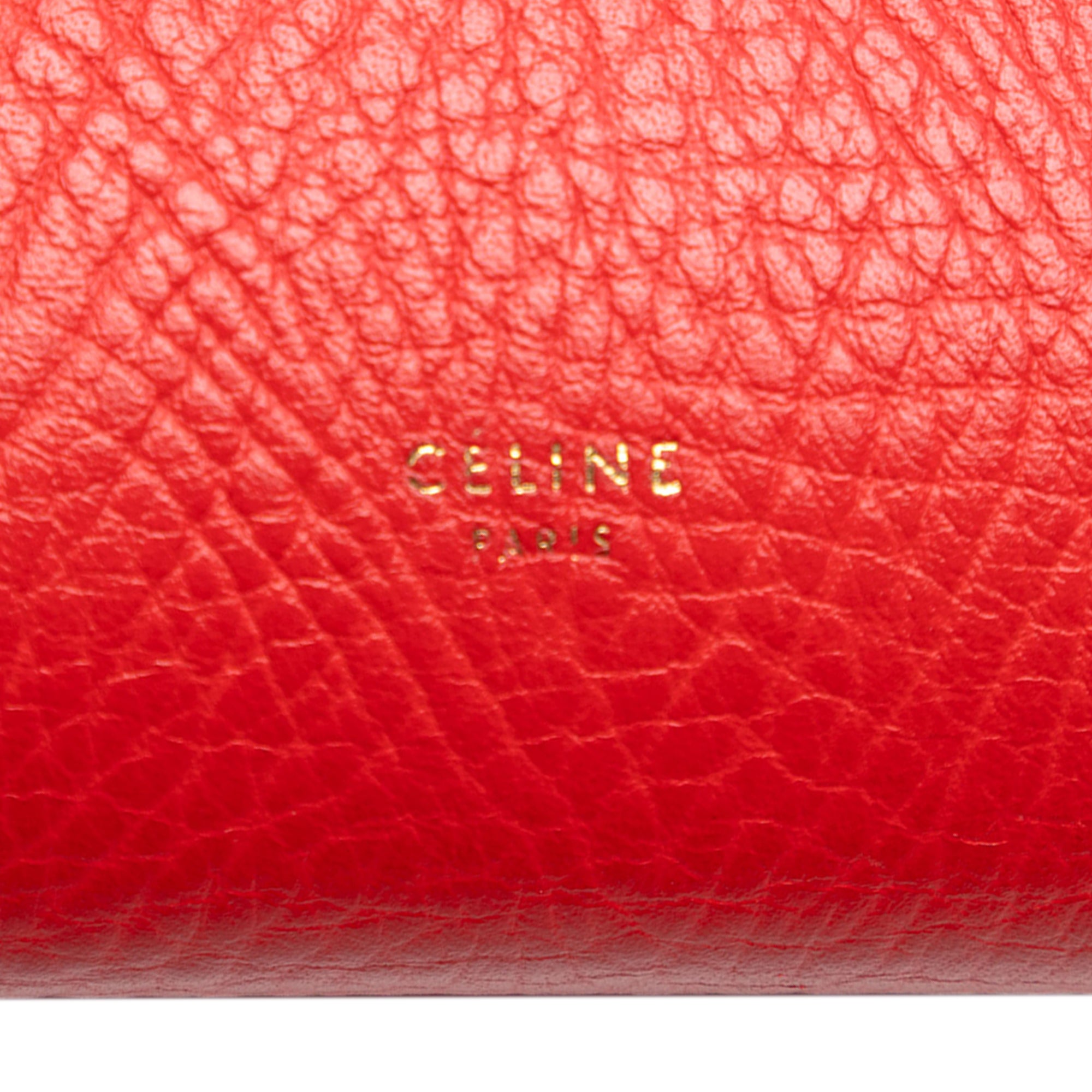 Mini Tricolor Grained Calfskin Belt Bag - Image 5