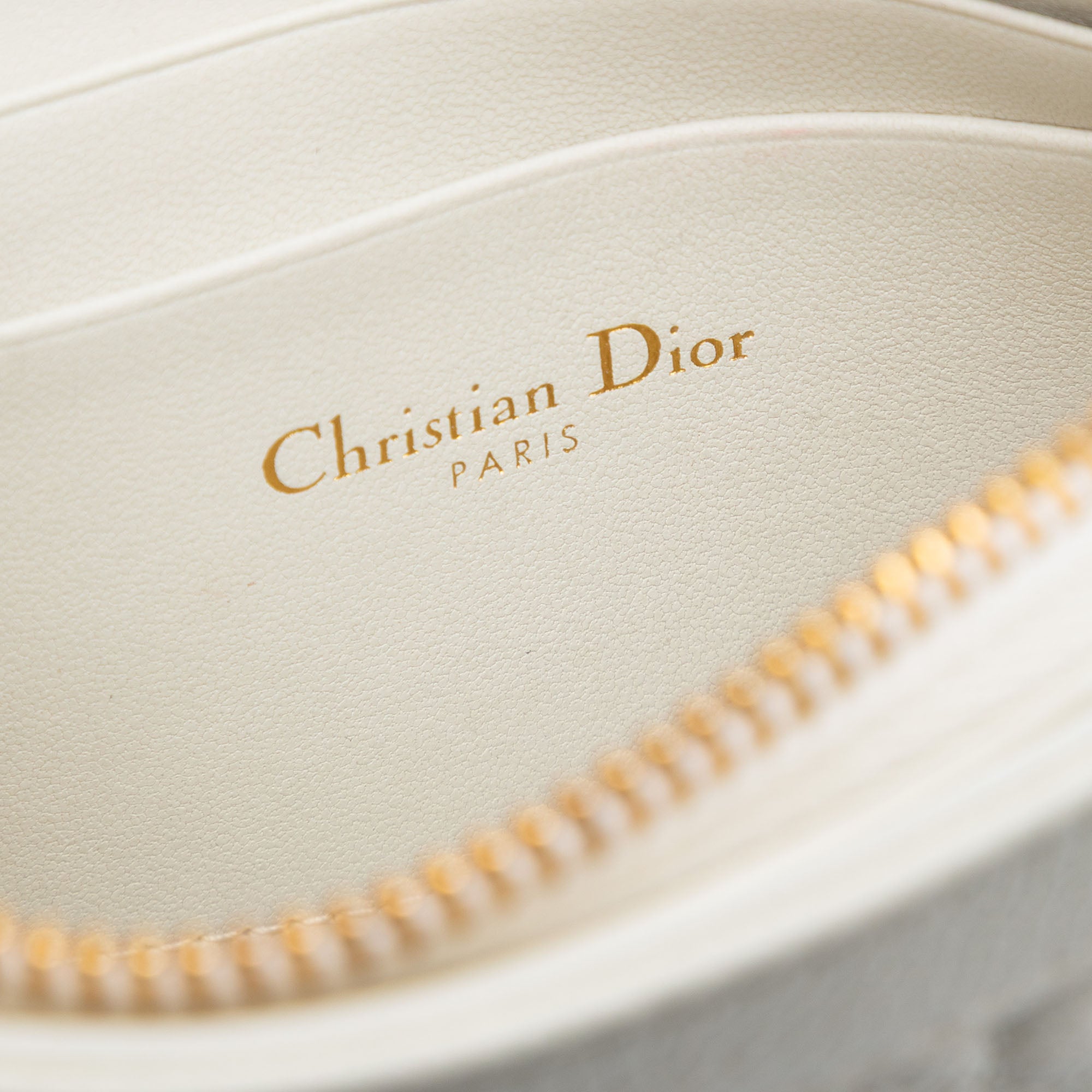 Supple Cannage Calfskin Caro Every Dior Pouch - Image 5