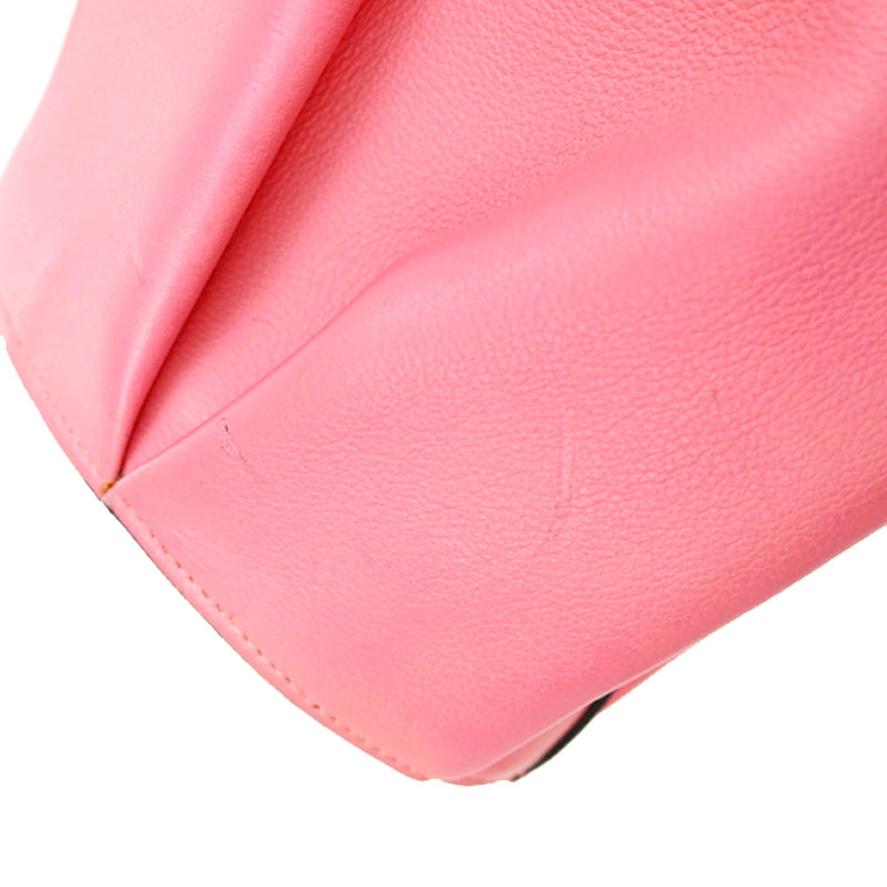 Loewe Elephant Leather Pink Bag