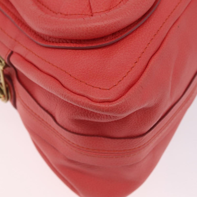 Chloe Paraty Top Handle Leather Pink Bag